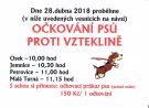 Očkování psů proti vzteklině 1