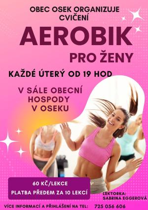 Aerobik pro ženy 1